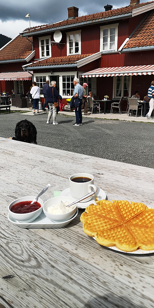Ikke alle får! Det titter en opp ved bordet som har veldig lyst på vaffel. 