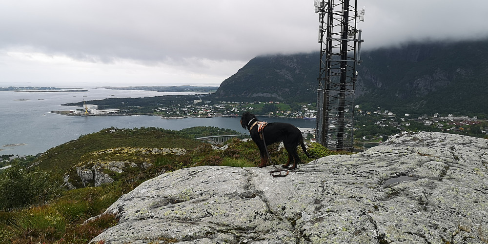 På Ørnekula
