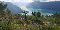 Atomsilda_20230803_64cbced94dfdc.jpg