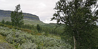 Atomsilda_20230814_64da523f05d09.jpg