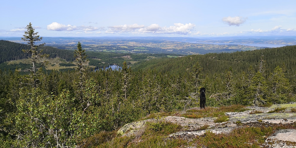 På Borgenkampen 