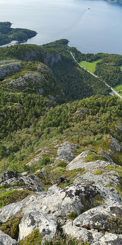 Her er det styggbratt og utsatt. Bildet lyver mye...mye brattere enn det ser ut. Man ser Morten klyve seg oppover...i lyng og berg.