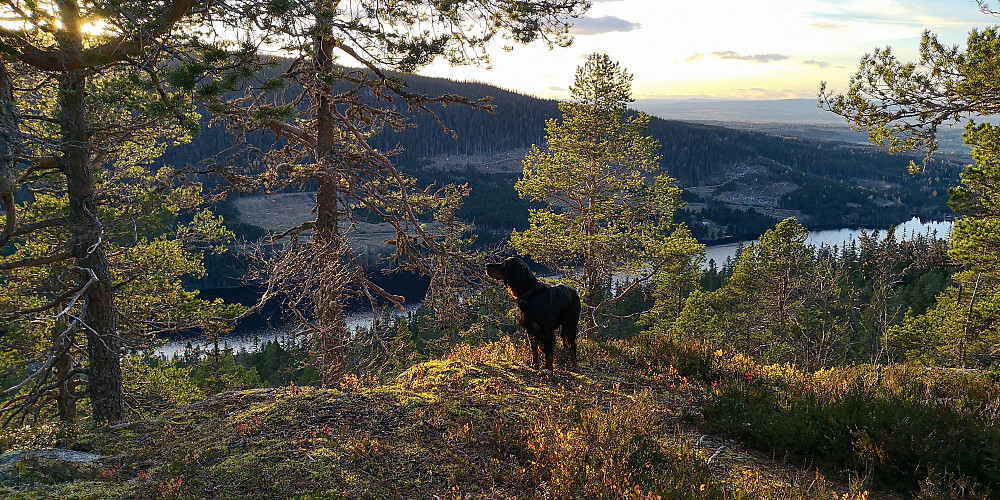På Bygdeborgen. Solen går nå ned kl 17.30