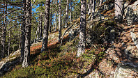 Atomsilda_20231017_652ea1fe50ec8.jpg