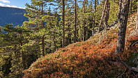 Atomsilda_20231017_652ea202649d1.jpg