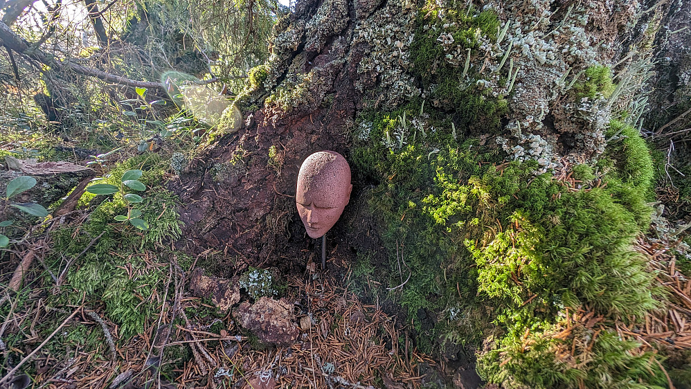 Fant et hode på Torsæterkampen. Noen samler på slike også.