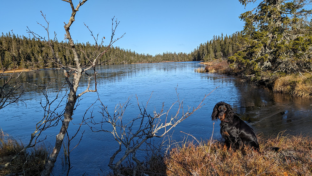 Vestre Ormtjern
