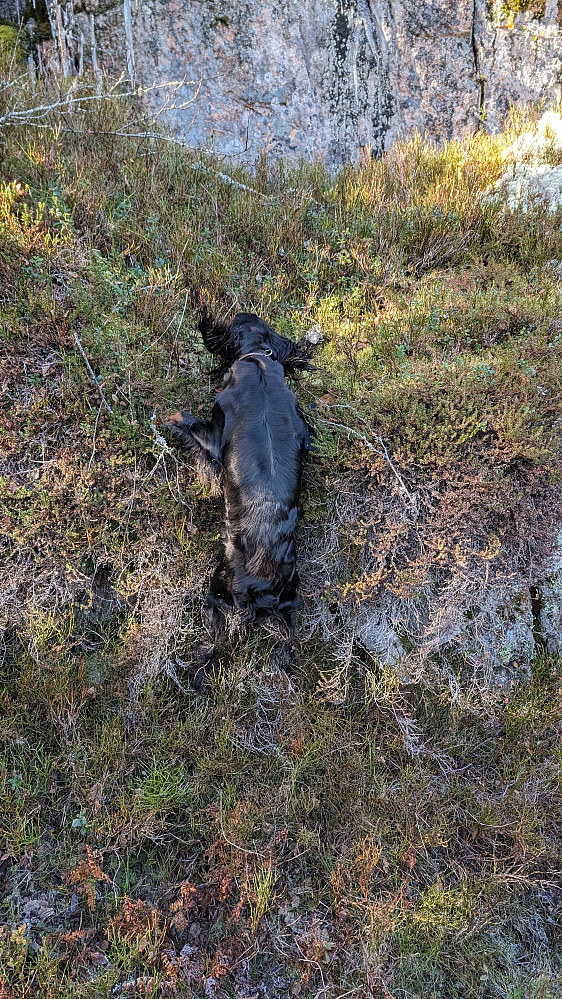 Jeg gir meg pokker ikke sier Embla!!!