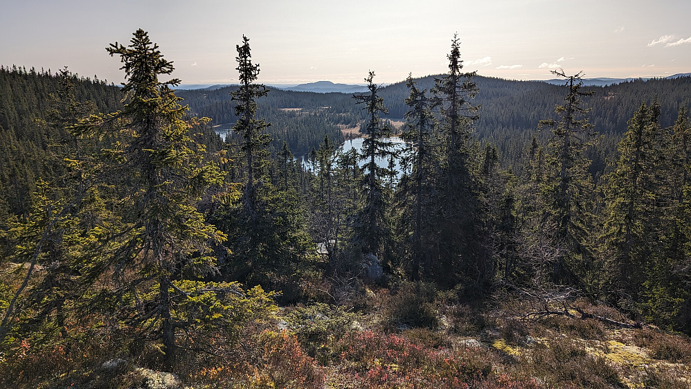 Fra Helligdalskampen mot Svartdalsvatnet