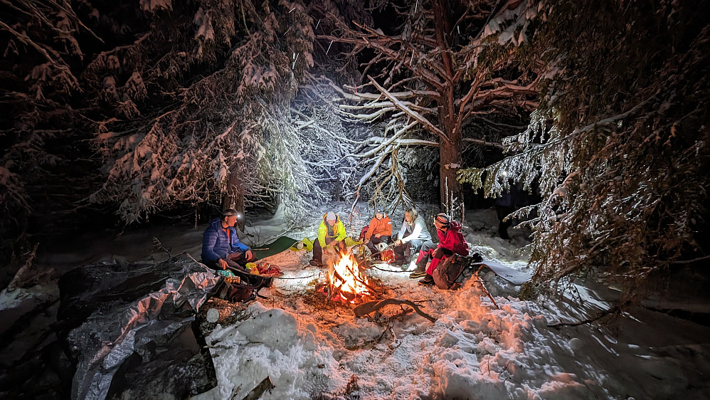 En koselig stemning i skogen 