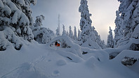 Atomsilda_20231117_655790fa5448c.jpg
