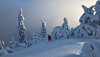Atomsilda_20231117_655790fc0d400.jpg