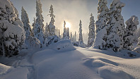 Atomsilda_20231117_655790fd0879a.jpg