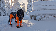 Atomsilda_20231117_655790ff1654e.jpg