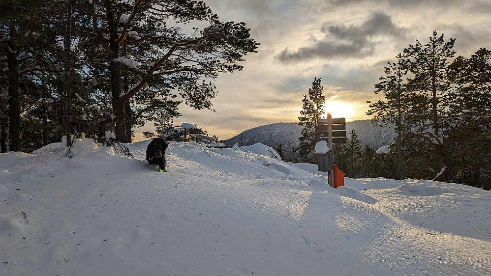 På Bygdeborgen 