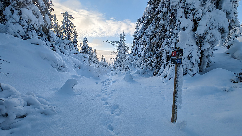 Nå er jeg oppe på toppen av Jens Hansens sti. Kun ca 200m fra Rausteinshytta 