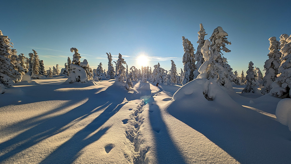 Oppe i solen. Her er vi oppe på Skreifjella (800 moh)
