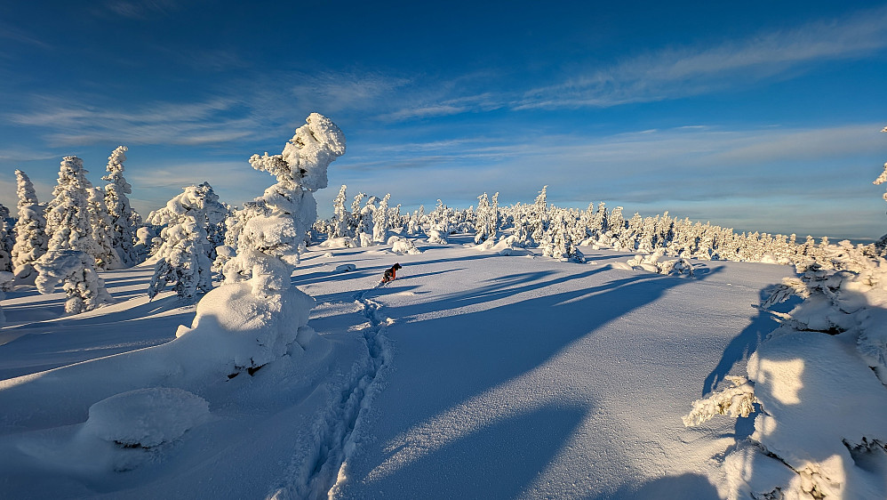 Vi nærmer oss Hervenberget. På vei nordover. Begynner å bli litt sliten, men kneiker med masse løs snø blir det flere av.