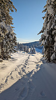 Atomsilda_20231201_656a1e11334be.jpg
