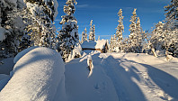 Atomsilda_20231201_656a1e13e2e9e.jpg