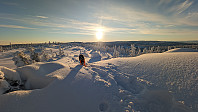 Atomsilda_20231201_656a1e153e520.jpg