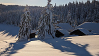 Atomsilda_20231201_656a1e1796e81.jpg