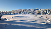 Atomsilda_20231201_656a1e191e169.jpg
