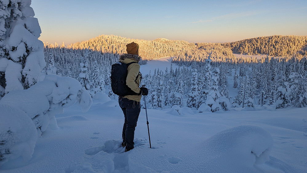 Kaldt på vei opp mot Skreifjella (800 moh) Over 20 minus 