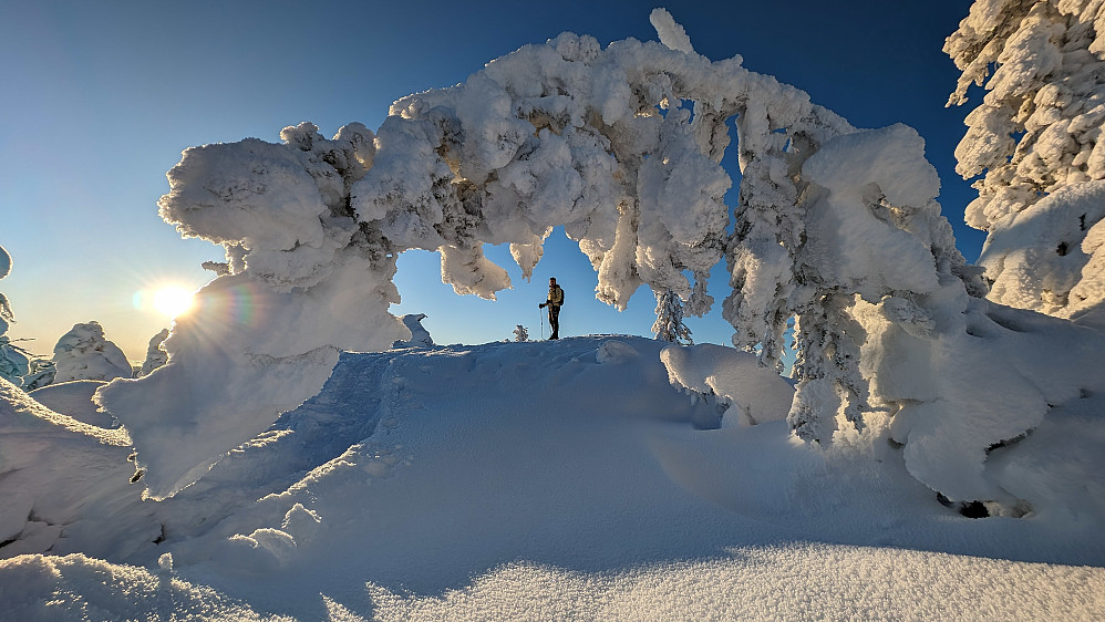 På Høgbrenna (796 moh)