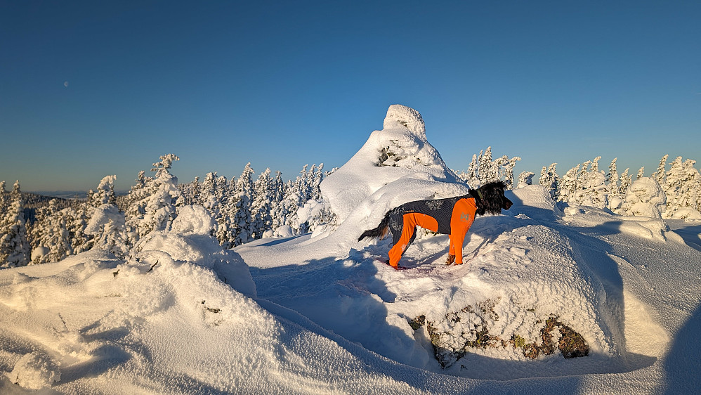 På Helligdalskampen 