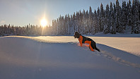 Atomsilda_20231203_656cb1007c223.jpg