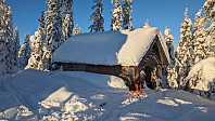 Atomsilda_20231203_656cb1020a0d2.jpg