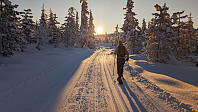 Atomsilda_20231203_656cb10549751.jpg