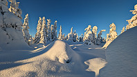 Atomsilda_20231203_656cb10876d06.jpg