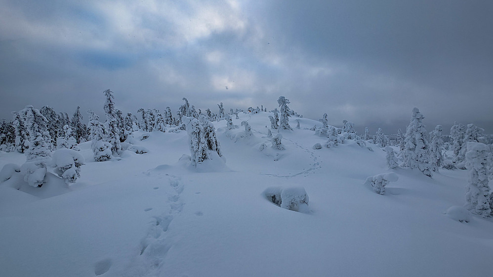 Hervenberget 