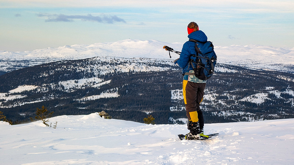 Fra Krokvassfjellet mot Synnfjellet