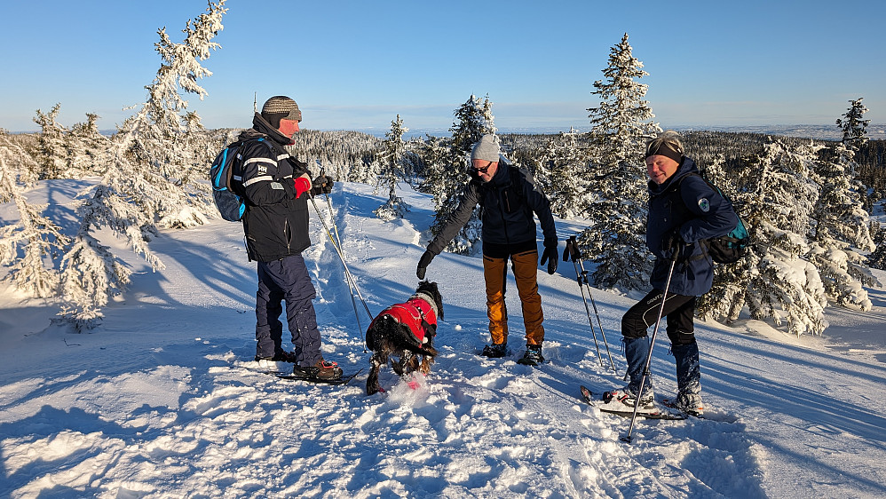 På Høgbrenna 