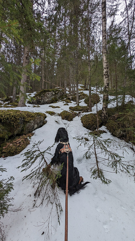 Klar...ferdig...gå!!!