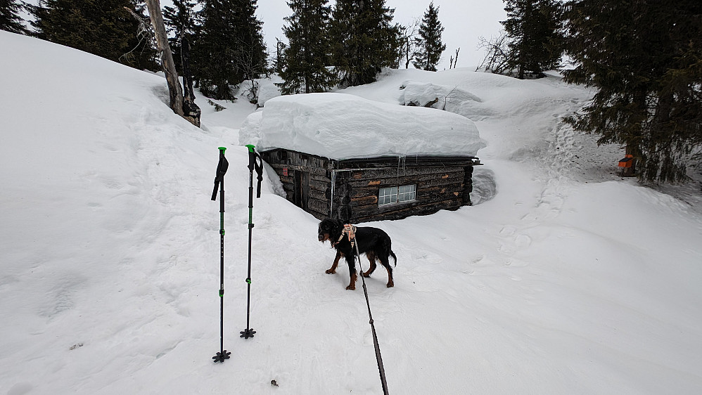 Ikke akkurat minka mye på snøen her oppe på Åsen.