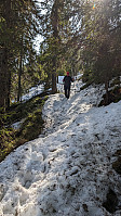 Atomsilda_20240426_662bf94199929.jpg