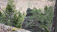 Atomsilda_20240509_663d163f13c49.jpg