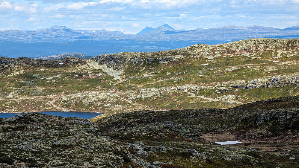 Sølenkletten i det fjerne