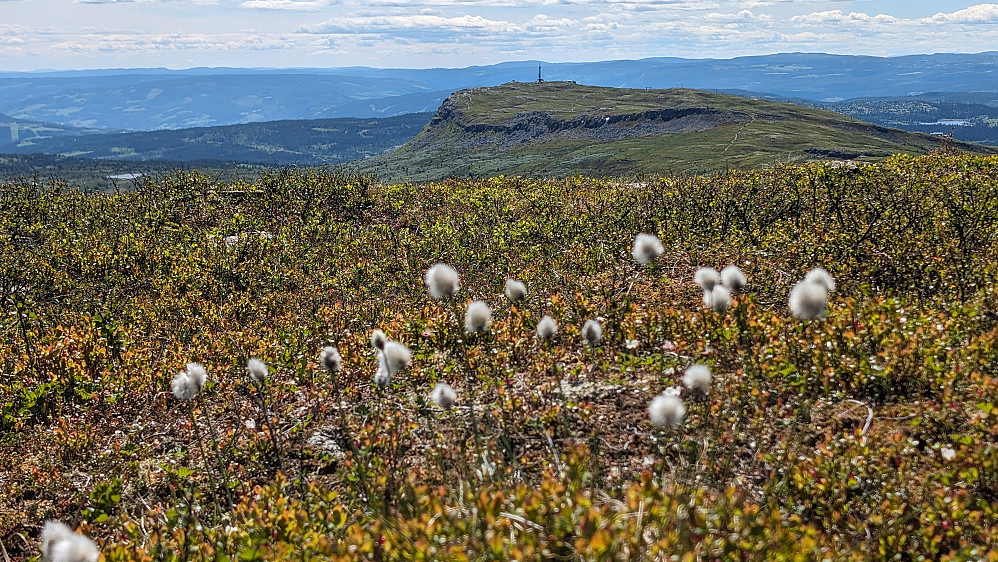 Skeikampen