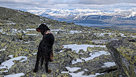 Atomsilda_20240606_6661aef36cd1a.jpg