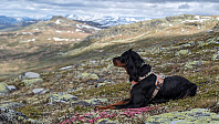 Atomsilda_20240606_6661aef945554.jpg