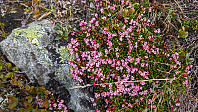 Atomsilda_20240606_6661aefb05b6c.jpg