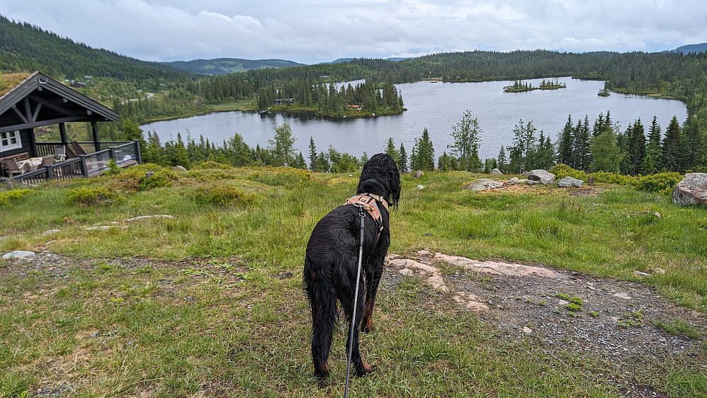 Øyungen