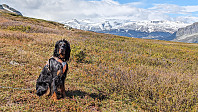 Atomsilda_20240610_666723a73430e.jpg