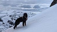 Atomsilda_20240610_666723acb046e.jpg