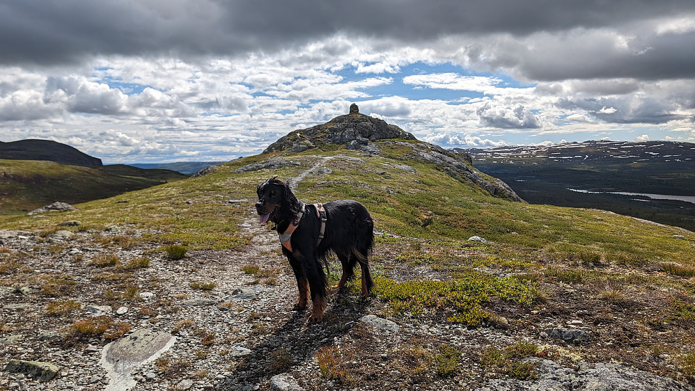 Solskiva sett fra Nord
